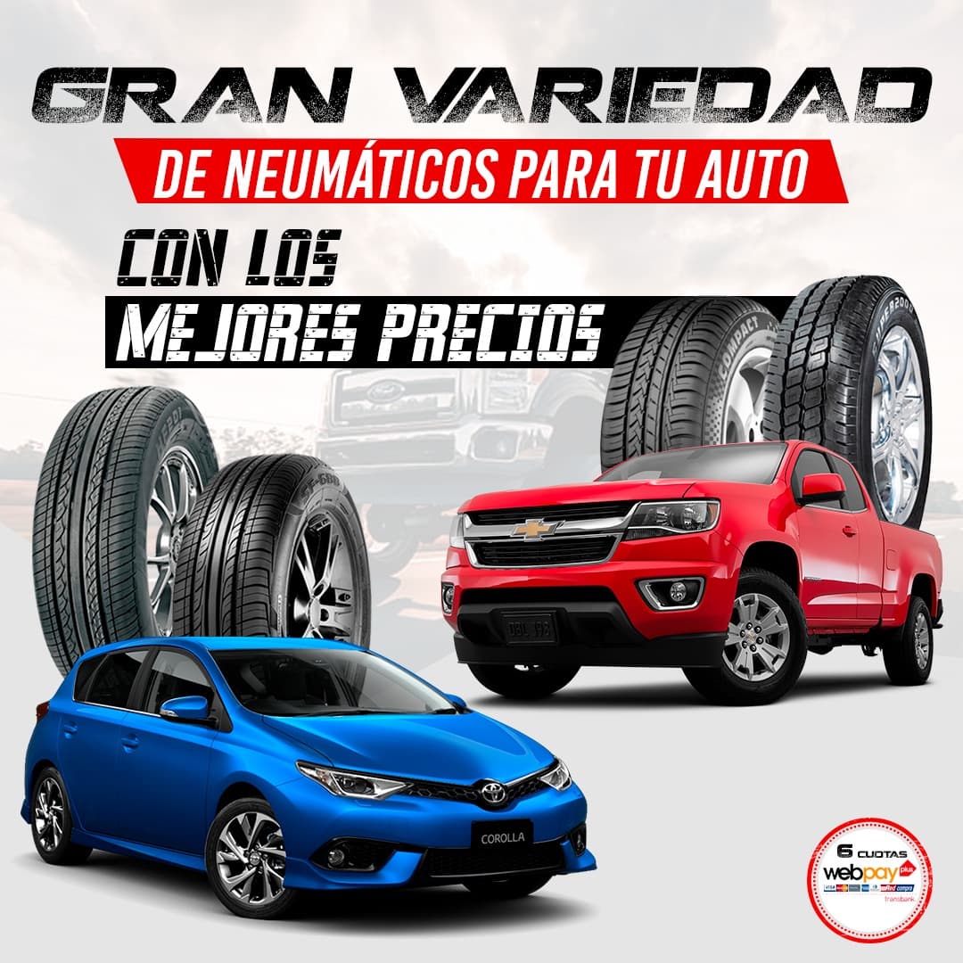 variedad neumáticos